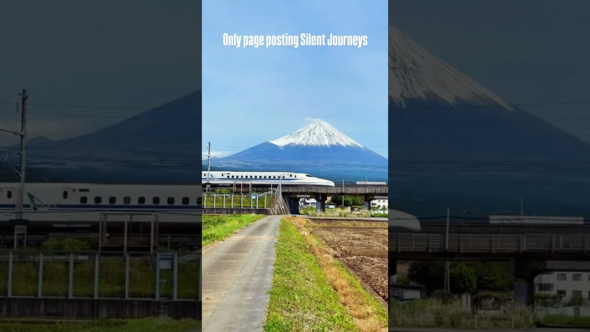 Mt. Fuji from Shizuoka—where Japanese beauty, calm, and culture meet! Watch the magic unfold. 🗻✨