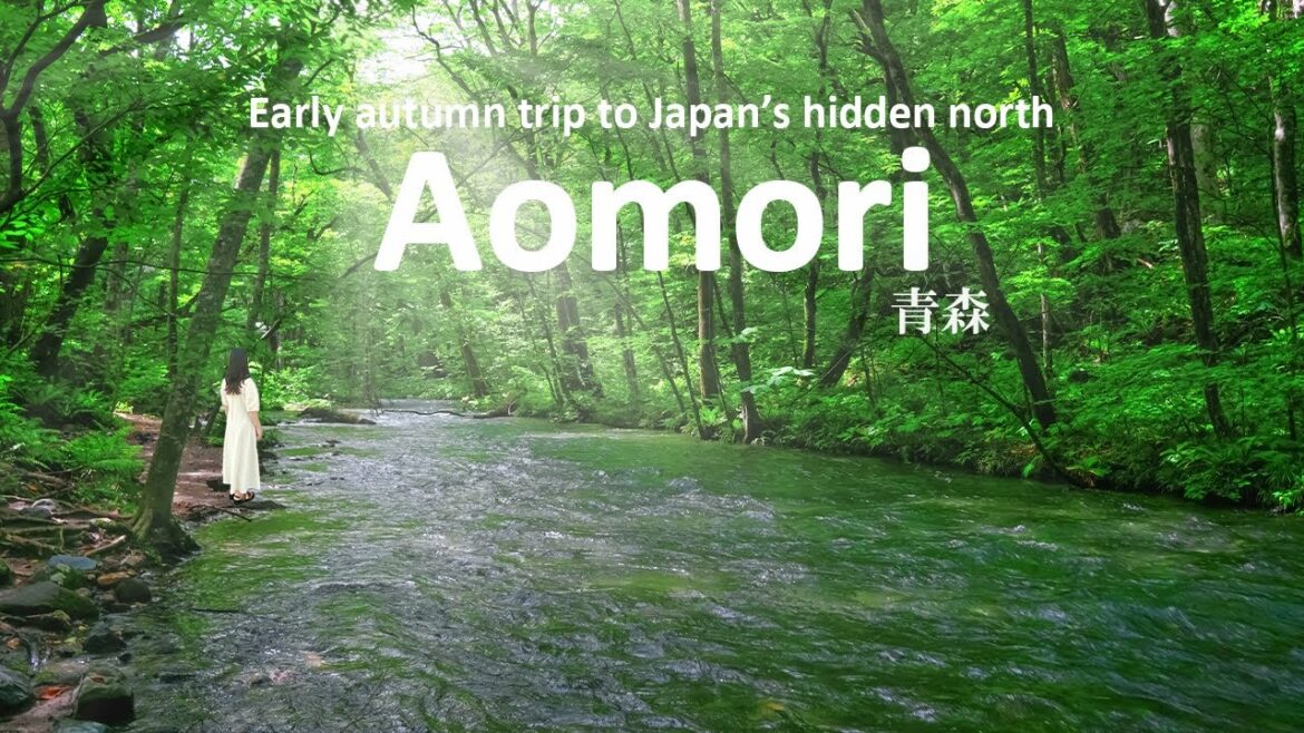 Japan’s Hidden North | Early Autumn Trip to Aomori’s Untouched Beauty | Oirase | JAPAN TRAVEL VLOG Japan’s Hidden North | Early Autumn Trip to Aomori’s Untouched Beauty | Oirase | JAPAN TRAVEL VLOG
