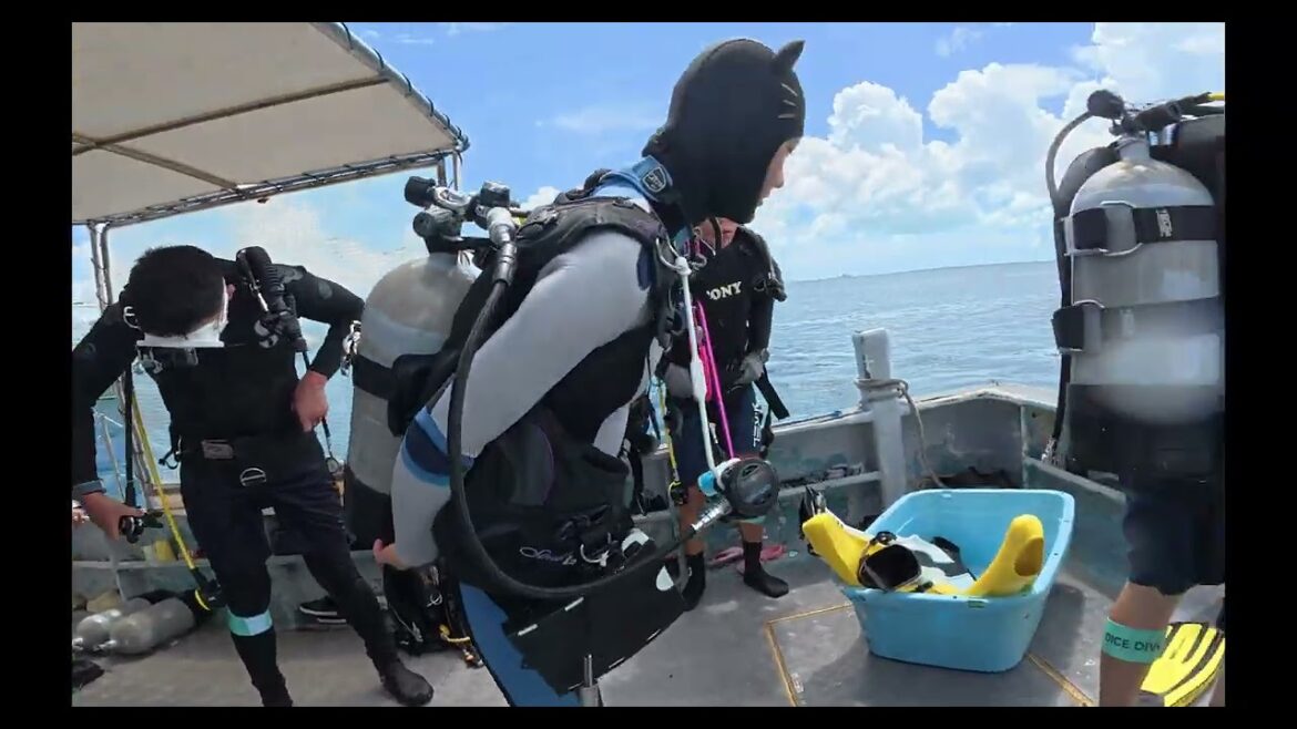 Ishigaki dive tour v-log 21 Sept. 2025