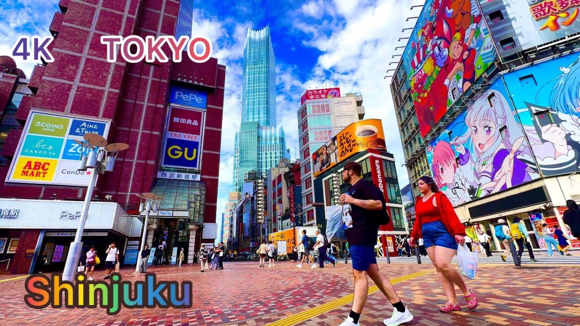Tokyo is the biggest city in the world. Shinjuku walking Tour. Japan Tokyo is the biggest city in the world. Shinjuku walking Tour. Japan
