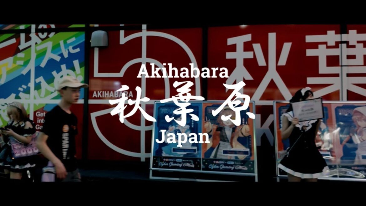99% of Tourists Miss the REAL Akihabara, Japan.