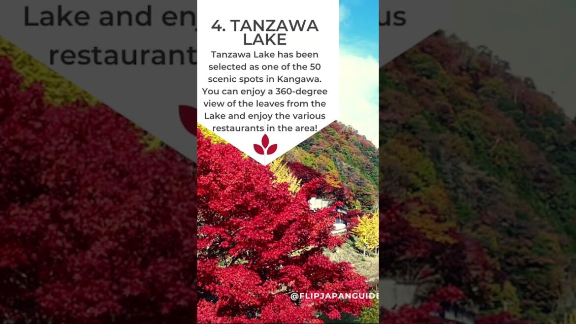 Best Autumn Day Trips From Tokyo! 🍁