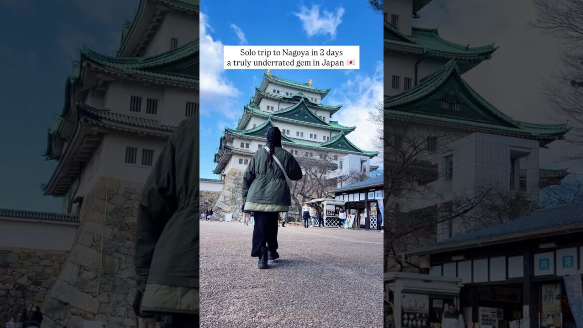 📍Japan 🇯🇵 My first solo trip to Nagoya #japan #shorts #nagoya