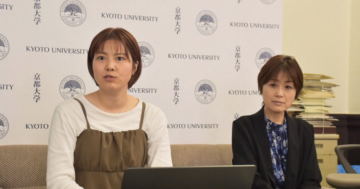 Gut bacteria linked to postpartum depression; fermented foods ease symptoms: Japan study Gut bacteria linked to postpartum depression; fermented foods ease symptoms: Japan study