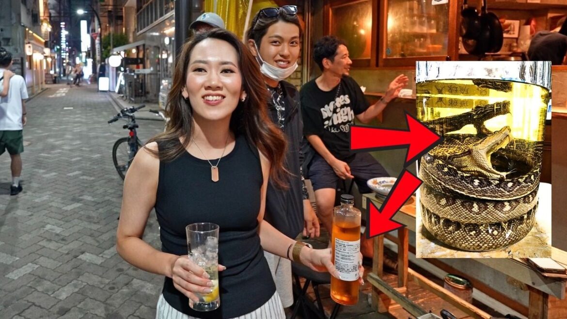 I Drank Tokyo’s STRANGEST Drinks With Total Strangers in Kichijoji