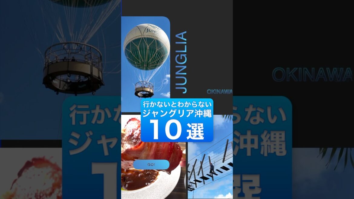 行かないとわからないジャングリア沖縄10選