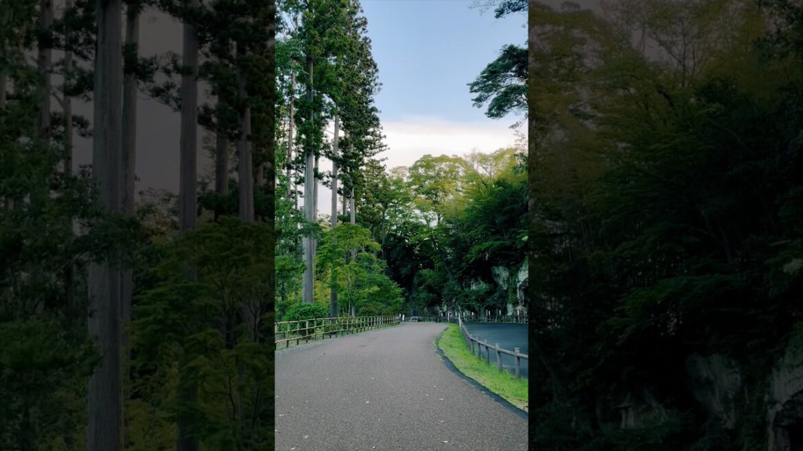 ชนบทญี่ปุ่นเมืองเซ็นได | Slow life Japan in Sendai #travel #เที่ยวญี่ปุ่น