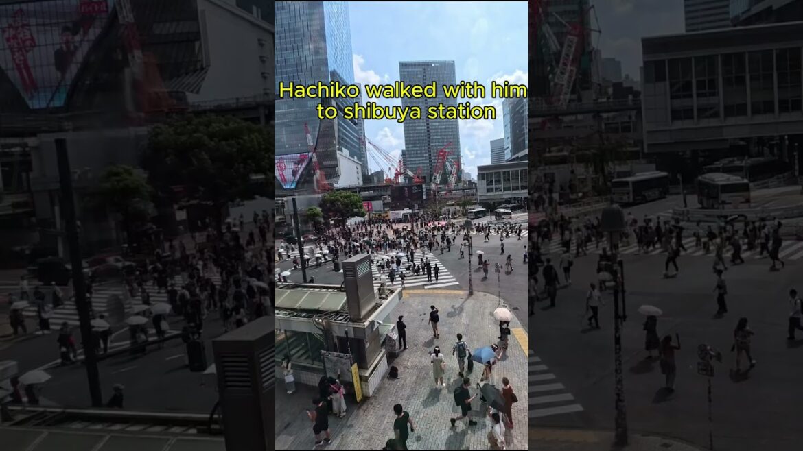 Hachiko: The Dog Who Waited 10 Years#tokyo #shibuya #japan #travel #dog #animal Hachiko: The Dog Who Waited 10 Years#tokyo #shibuya #japan #travel #dog #animal