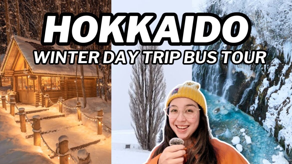 Hokkaido Day Tour from Sapporo! Single Terrace, Asahiyama Zoo, Ken and Mary Tree, Shirahige Falls Hokkaido Day Tour from Sapporo! Single Terrace, Asahiyama Zoo, Ken and Mary Tree, Shirahige Falls