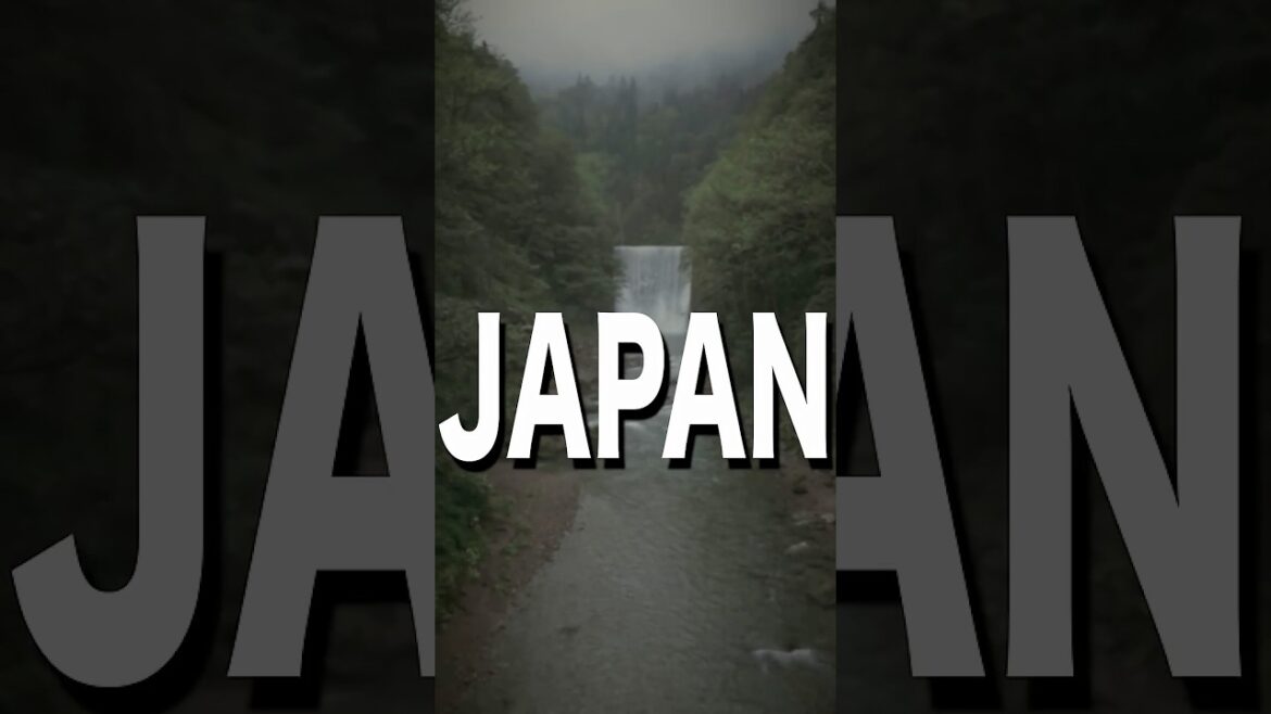 Hokkaido vacation? This is your sign #hokkaidotravel #travel #japan2025 #japanfoodie Hokkaido vacation? This is your sign #hokkaidotravel #travel #japan2025 #japanfoodie