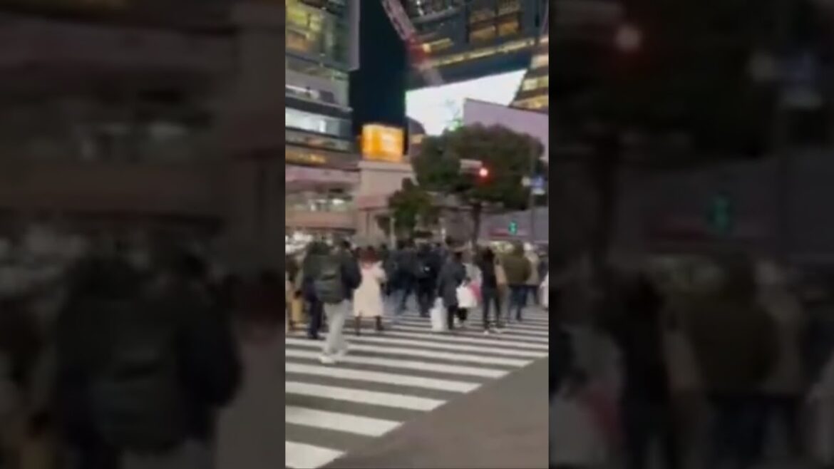 🇯🇵 Tokyo'nun en kalabalık caddesi Shibuya  Lovely  🇯🇵 Tokyo's busiest street Shibuya #shorts #travel