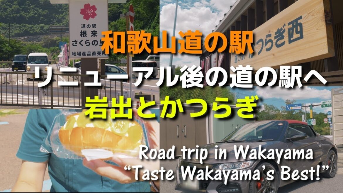 和歌山県道の駅リニューアル終わった道の駅再訪ドライブ。根来さくらの里・紀の川万葉の里【S660ドライブ】