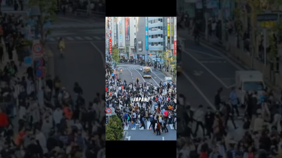 Top 5 visiting places in Kyoto Japan.#shortvideo #shorts #ytshorts #travel #japan