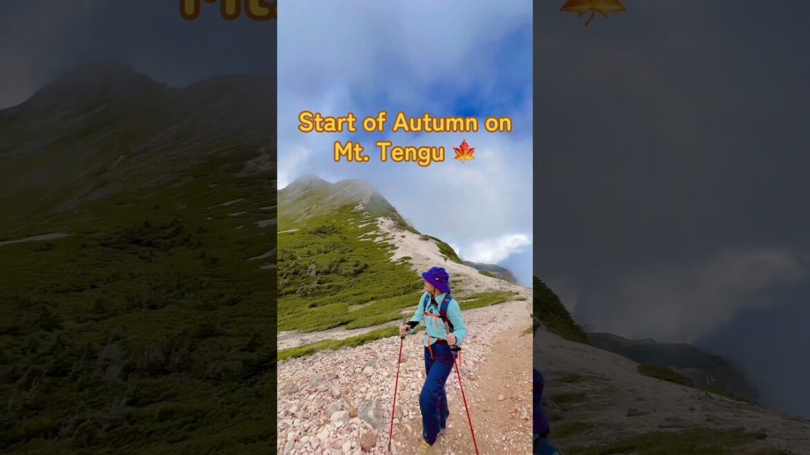 Autumn Hike on Mt. Tengu 🍁🍂 #japan #hiking #travel #adventure #nagano #mountains #nature Autumn Hike on Mt. Tengu 🍁🍂 #japan #hiking #travel #adventure #nagano #mountains #nature
