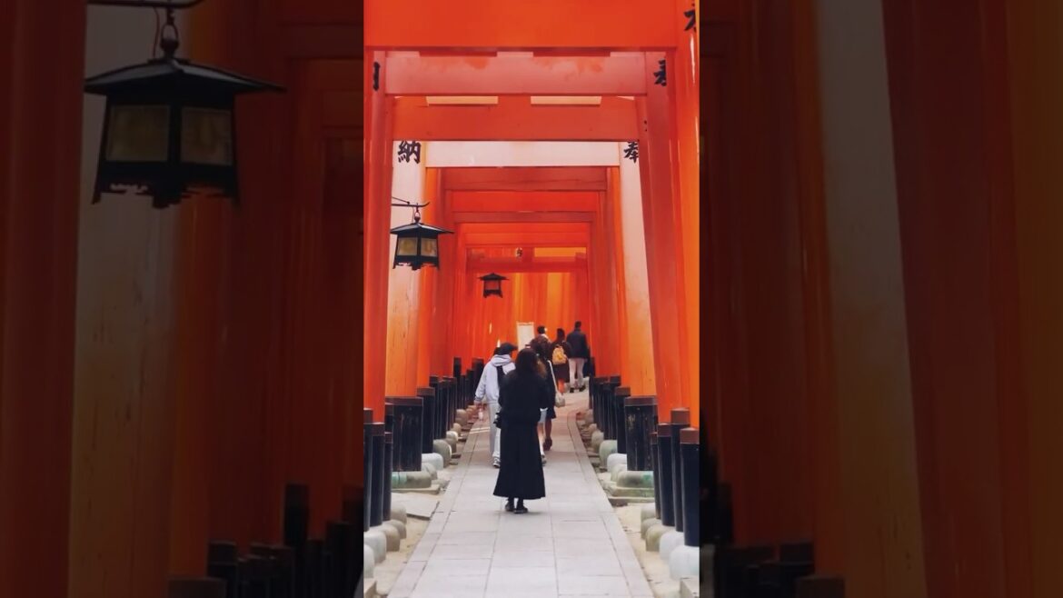 🇯🇵 Entering the sacred pathways of #toriigates at Fushimi Inari Taisha, #kyoto #japan
