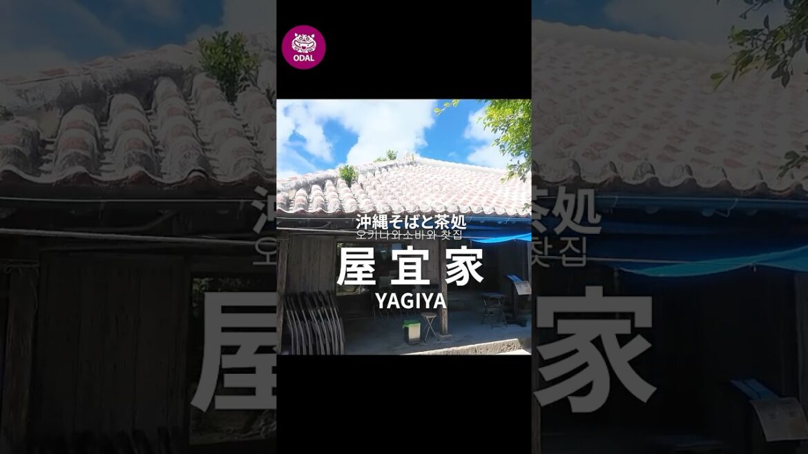 [屋宜家 yagiya] 남부에 가면 절대 먹어야할 오키나와 소바 / 沖縄に来たら絶対に行ってほしい沖縄そばと茶所