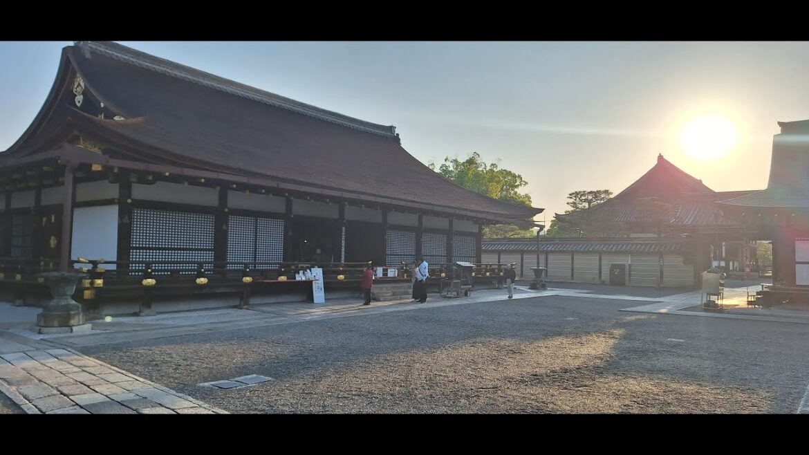 Japan Tour Part 13, Kyoto Morning walk and To‑ji Temple.