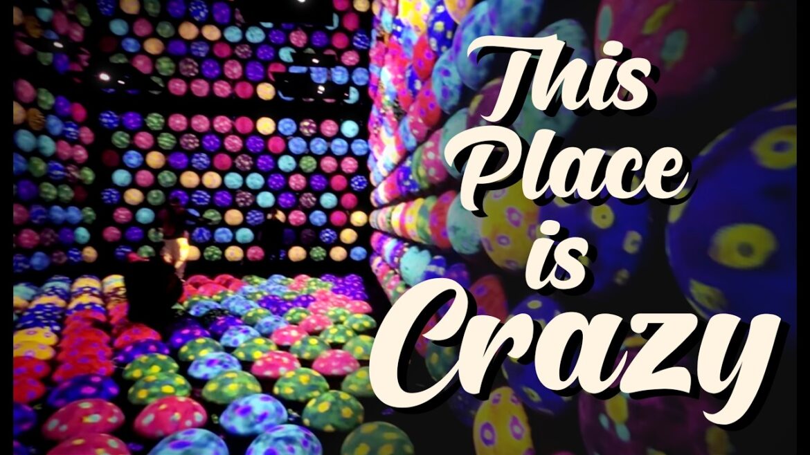 TeamLab Planets Tokyo is from future