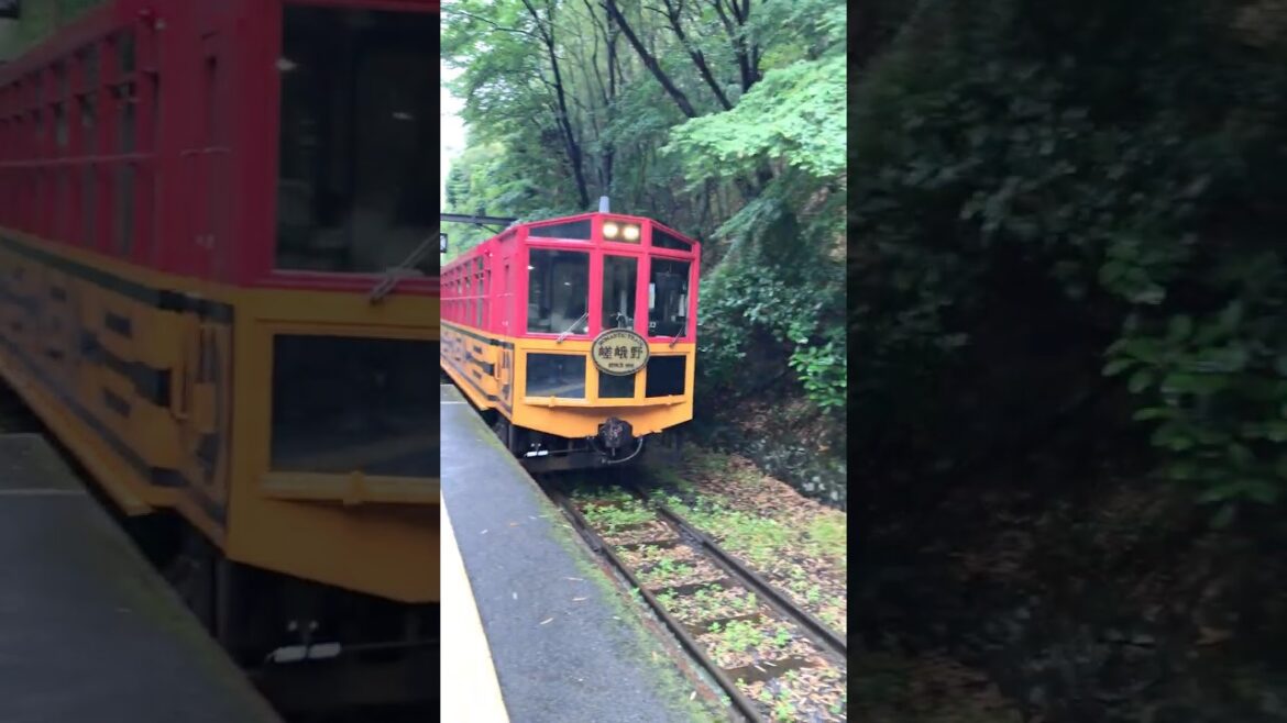 Sagano Romantic Train Kyoto ๐ฏ๐ต #kyoto #trending #youtubeshorts #reels #trip #travel #shorts #asmr Sagano Romantic Train Kyoto ๐ฏ๐ต #kyoto #trending #youtubeshorts #reels #trip #travel #shorts #asmr
