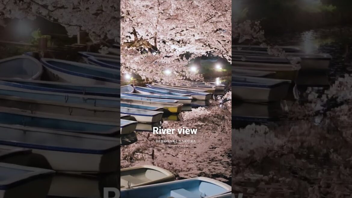 The most beautiful river in Japan you'll ever see.#Japan #Sakura  #Travel #Nature #Shorts #Hirosaki