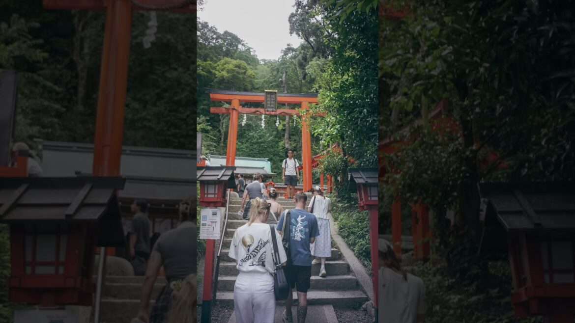 Kyoto Japan Street Photography Kyoto Japan Street Photography