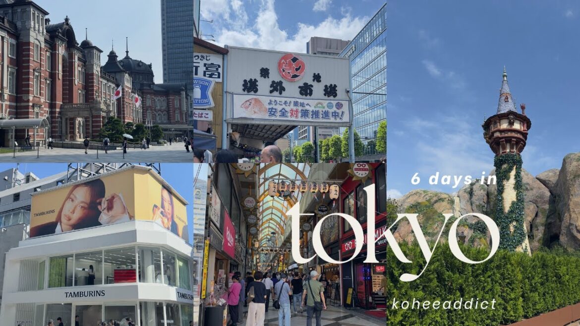 🇯🇵 6D5N Tokyo in summer 🗼 travel vlog | tsukiji market, akihabara, nakano, tokyo disneysea 🇯🇵 6D5N Tokyo in summer 🗼 travel vlog | tsukiji market, akihabara, nakano, tokyo disneysea
