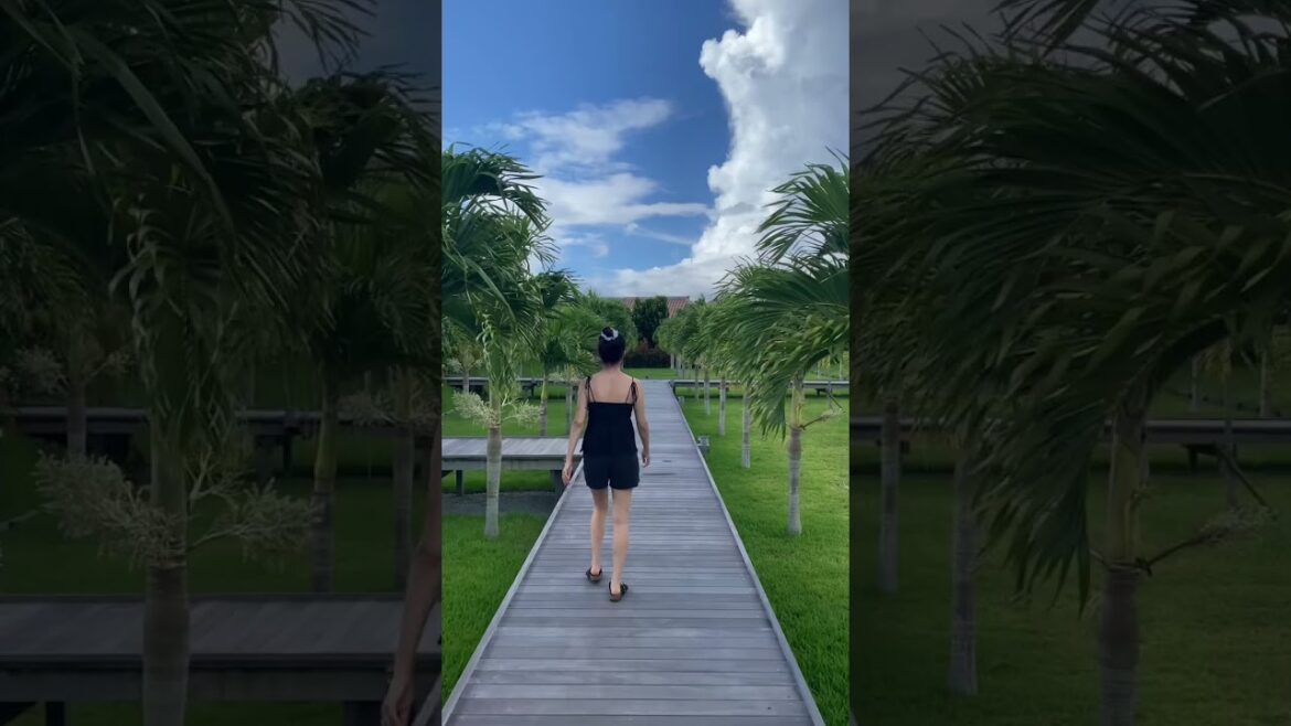 Following my wife on vacation #okinawa #japan #summer2025 #hotel