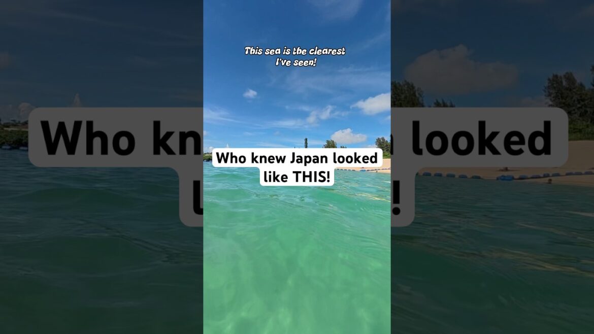 Who knew Japan looked like this? #travelvloggers #travel #japan #okinawa #onna #okinawabeach