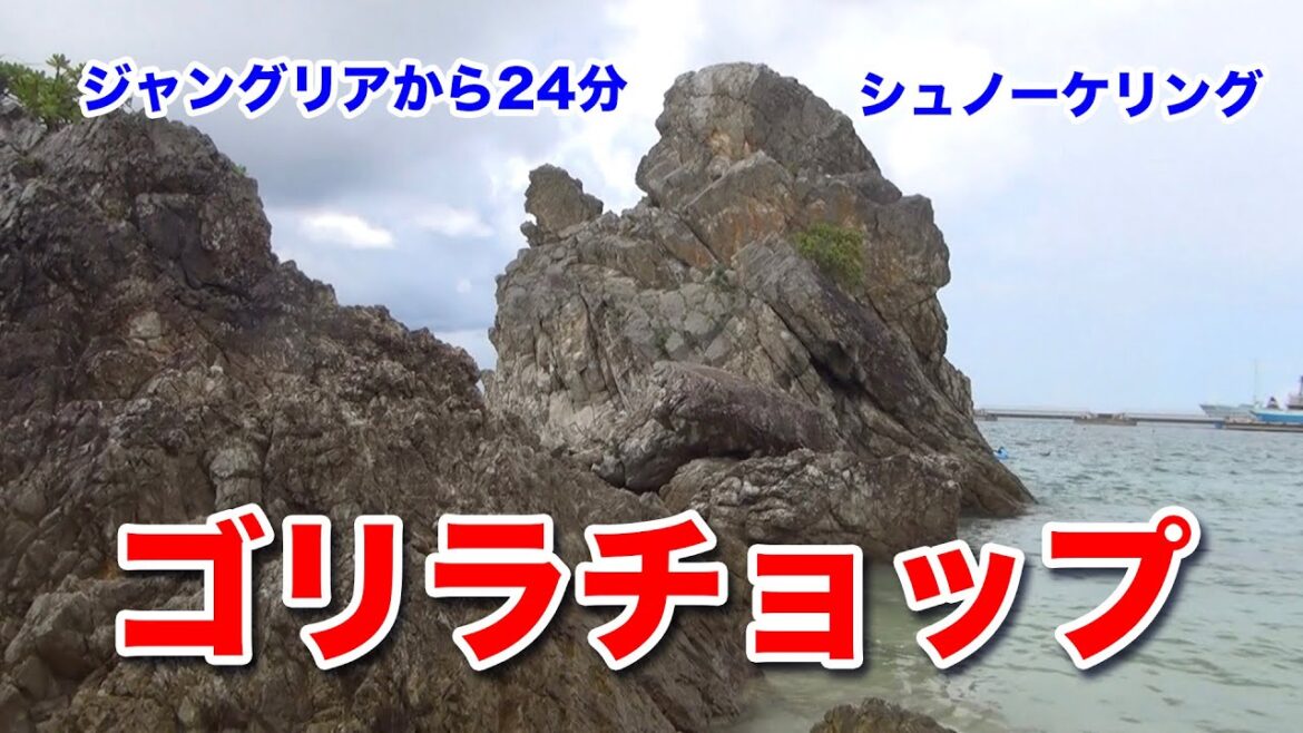 【ゴリラチョップ】ジャングリア沖縄から24分、沖縄北部で有名なシュノーレリングスポットのご紹介です。 【ゴリラチョップ】ジャングリア沖縄から24分、沖縄北部で有名なシュノーレリングスポットのご紹介です。