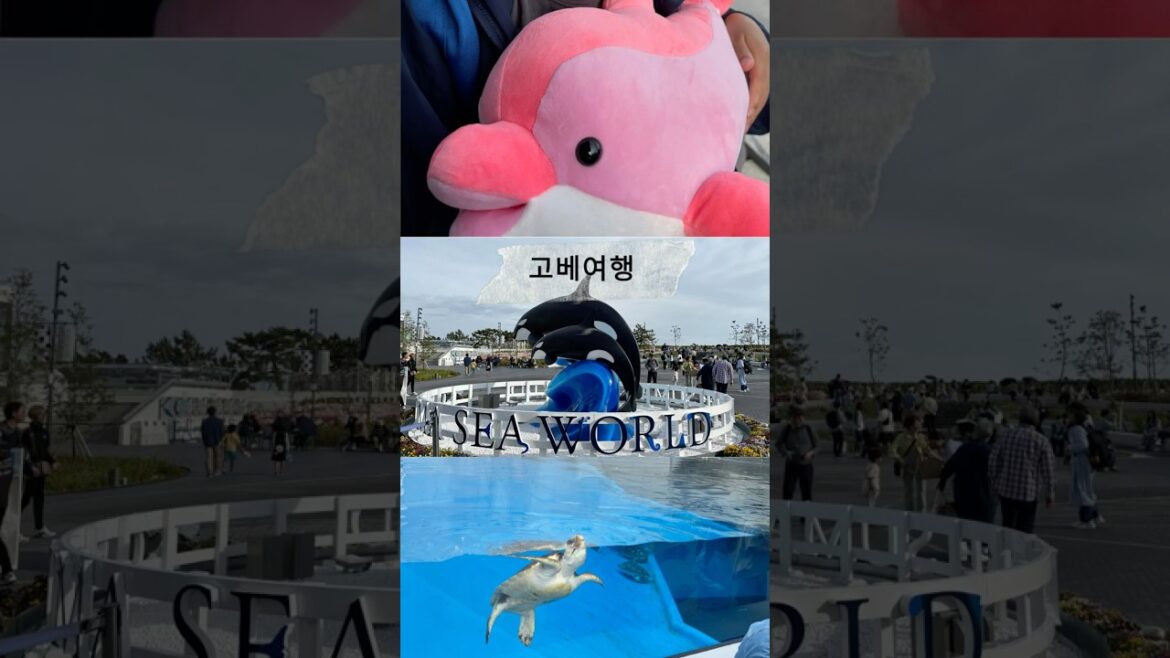 고베 스마 씨월드 추천^^ 神戸須磨シーワールドがおすすめ！行ってみてね！