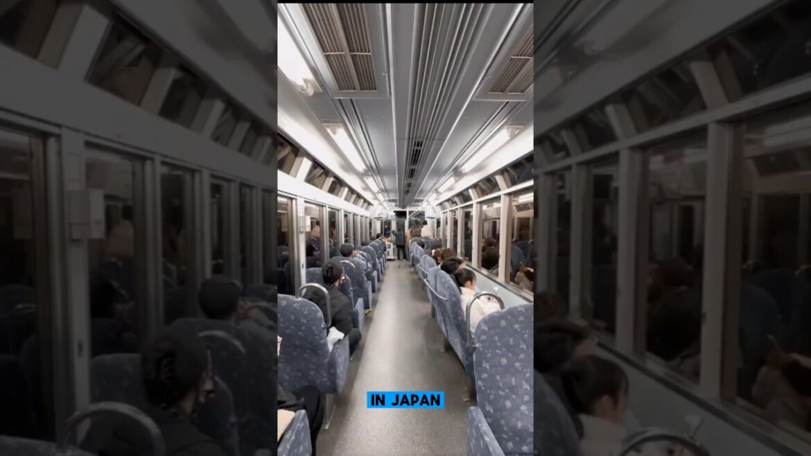 Autumn in Japan 🍁 #travel #japan #kyoto #autumn #momiji