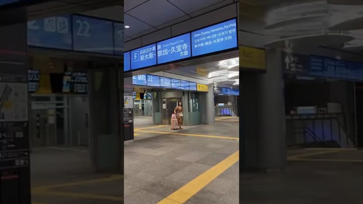 Train ride to Osaka Kansai Airport #travel #shorts #airport #train #airporttrain #trainride