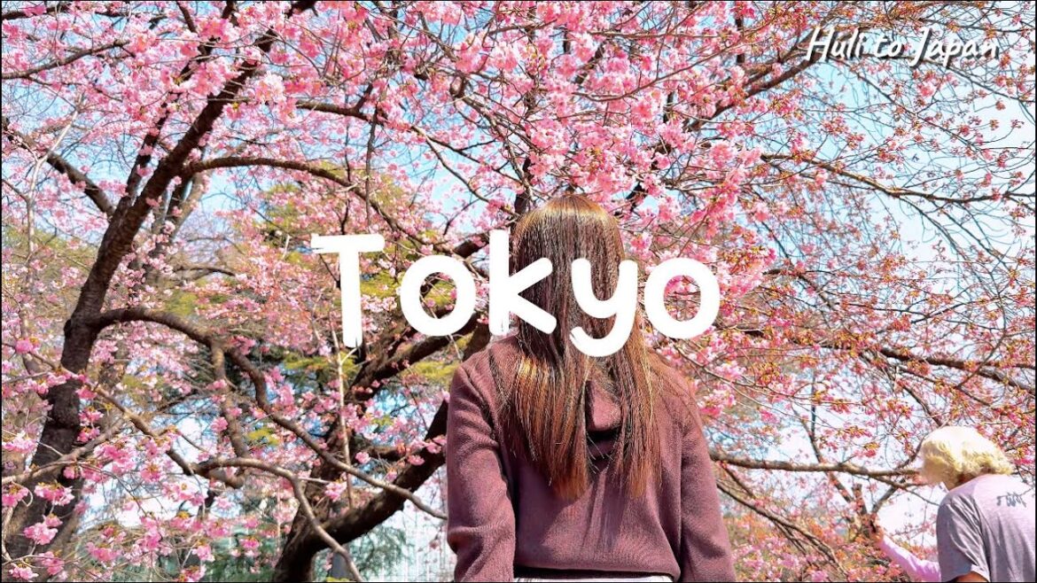 Japan Travel Vlog 2025 | Tokyo Trip (Du lịch Tokyo 3/2025) 🌸🗼 Japan Travel Vlog 2025 | Tokyo Trip (Du lịch Tokyo 3/2025) 🌸🗼