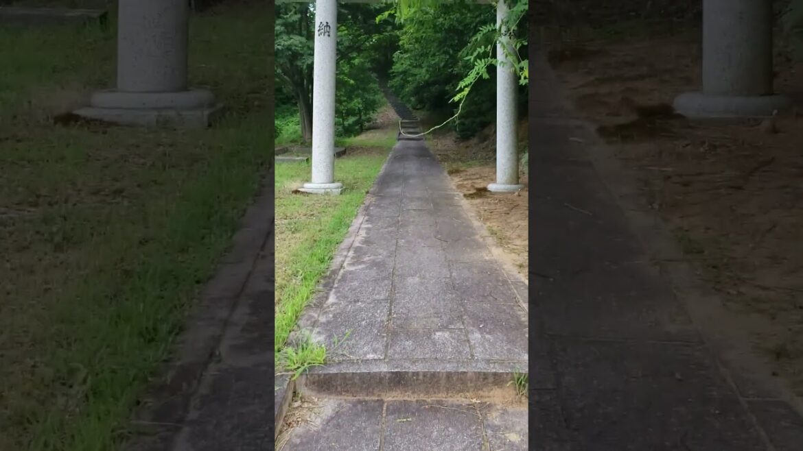 A Quiet Walk Through Rokuza Shrine, Niigata
