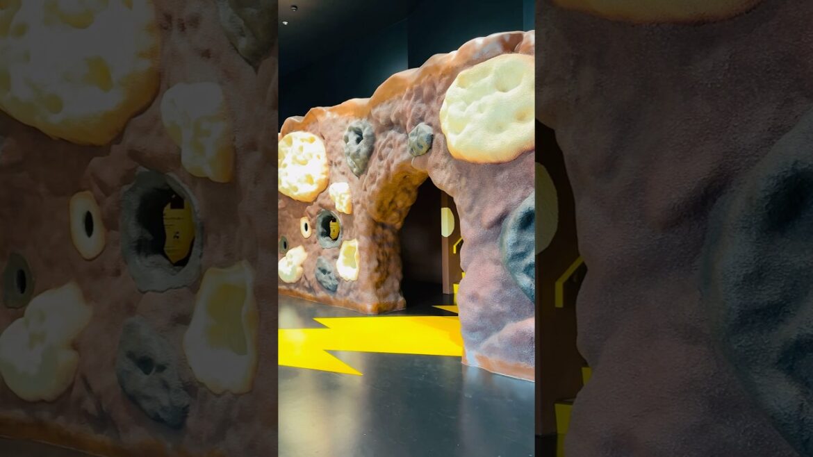 Chocolate Factory Tour 🍫 ブラックサンダーワクザクファクトリー🏭工場見学🇯🇵