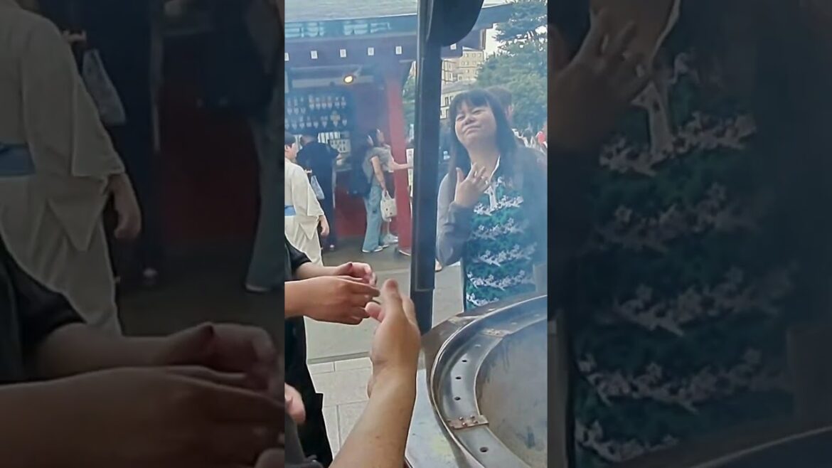 Summer Trip to TOKYO Summer Trip to TOKYO