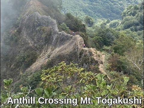 Mt. Togakushi, the Hidden Door to the Anthill   Exciting Mountain in Nagano Mt. Togakushi, the Hidden Door to the Anthill   Exciting Mountain in Nagano