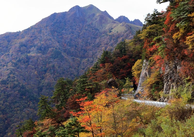 japan fall foliage 2025