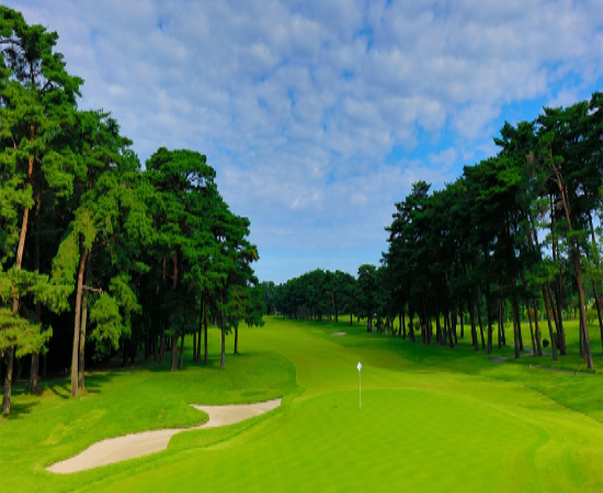 "Visa-Free Travel Opens" Soaring with Wings of Japan Golf Trips