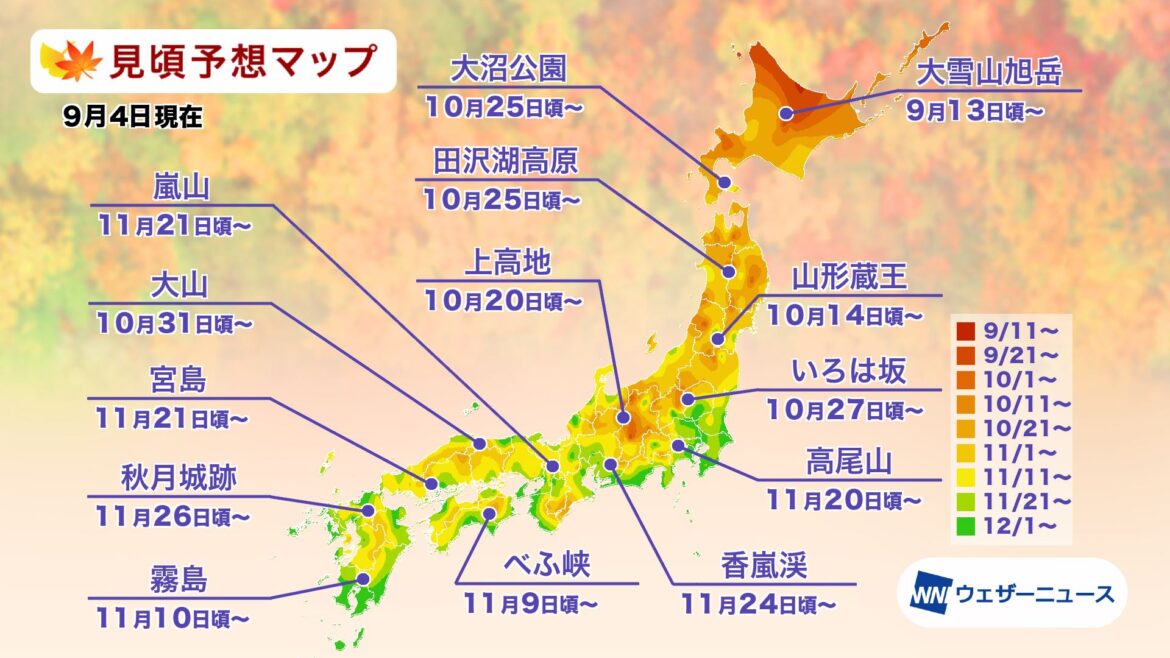 Autumn leaves in Japan are expected to be at their average peak, but colors might change due to the extreme heat in this summer Autumn leaves in Japan are expected to be at their average peak, but colors might change due to the extreme heat in this summer