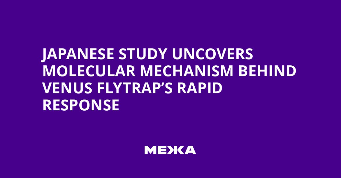 Japanese Study Uncovers Molecular Mechanism Behind Venus Flytrap’s Rapid Response | Ukraine news