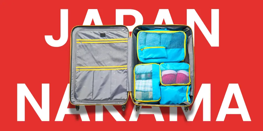 An Image of a Suitcase 