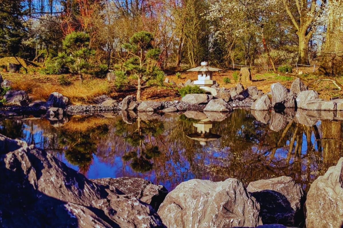 jardin japonais