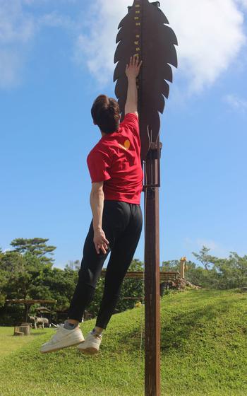 a man vertical jumping