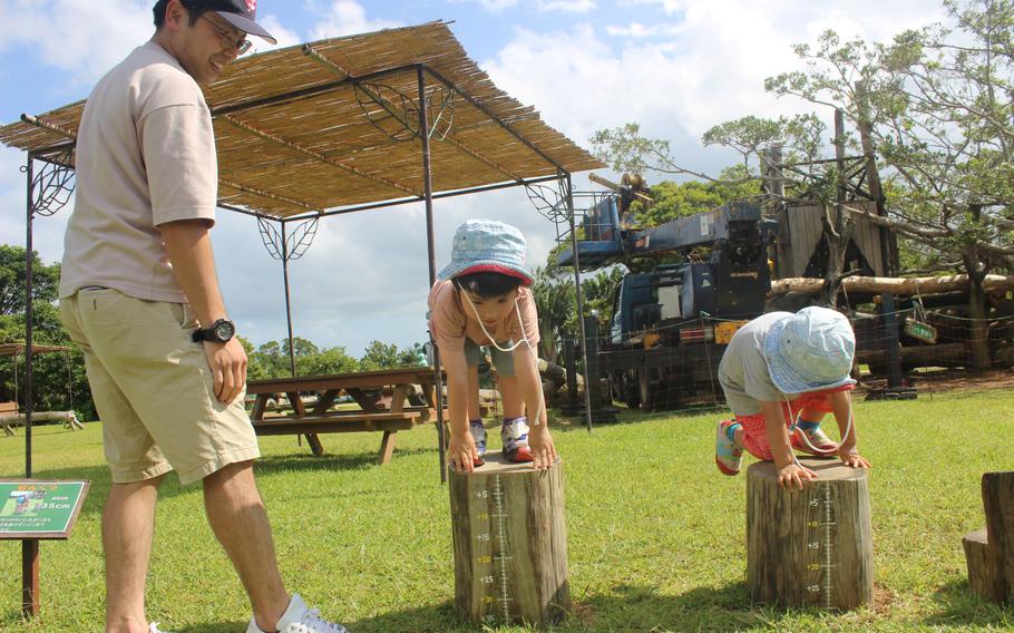 children on stumps
