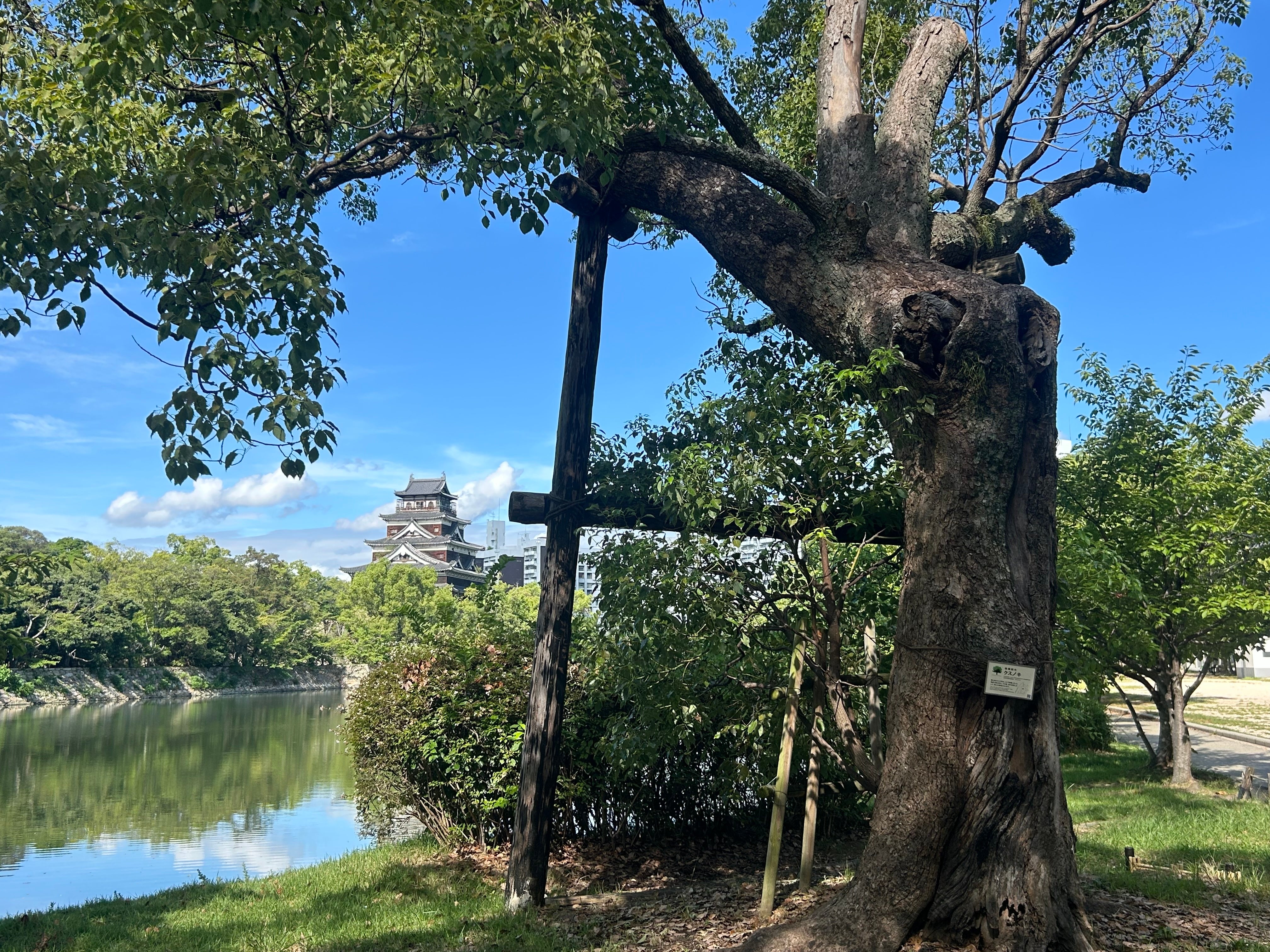 Hiroshima contines to be an important reminded of the human devastation of nuclear warfare