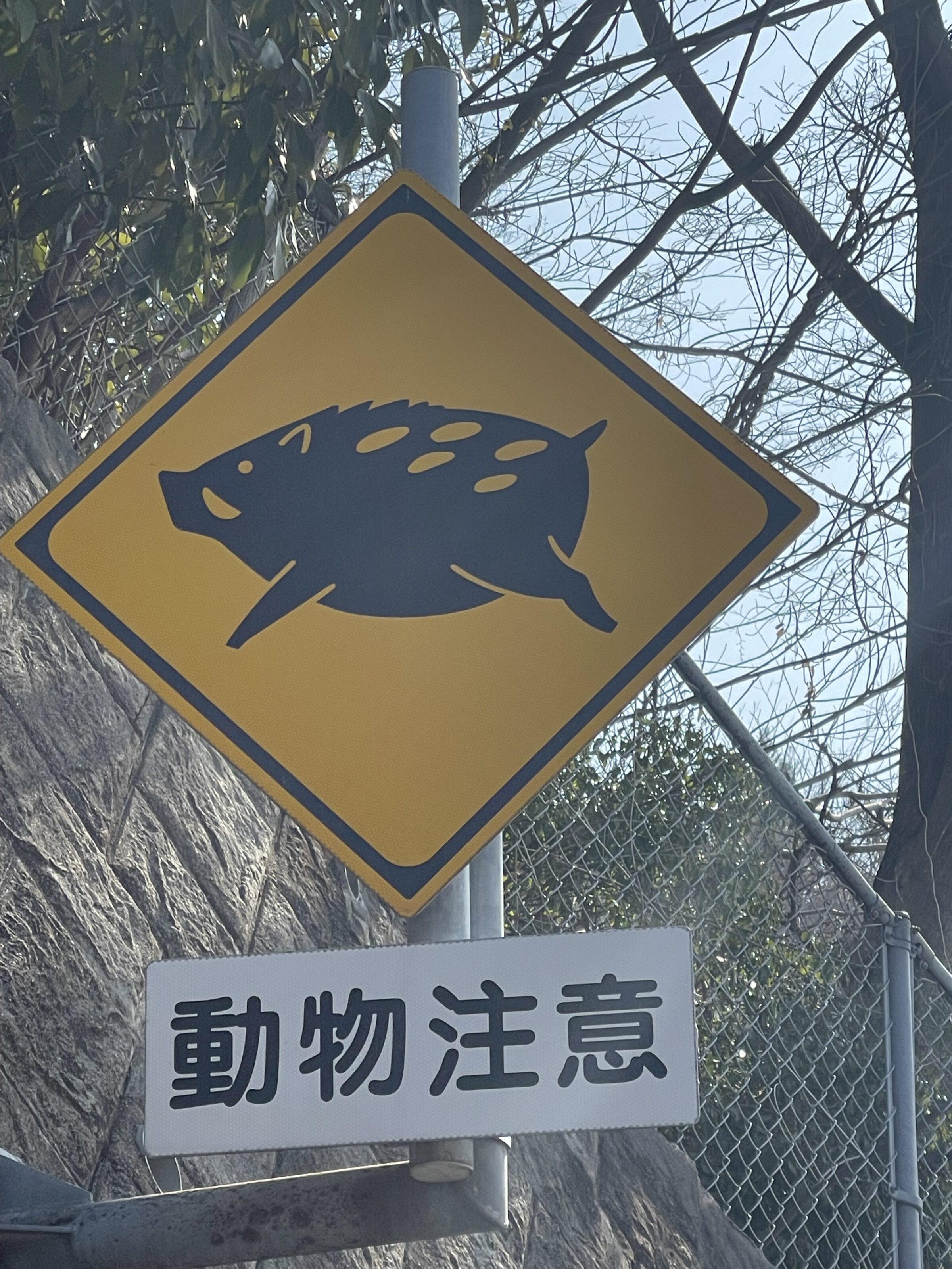 Lemon wild boar signs in Lemon Valley