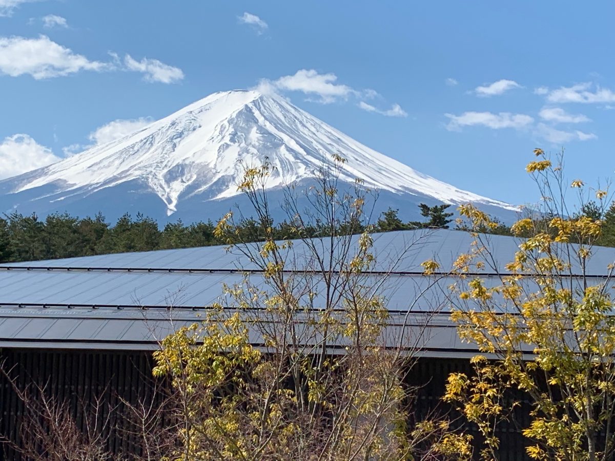 snow-capped mountain