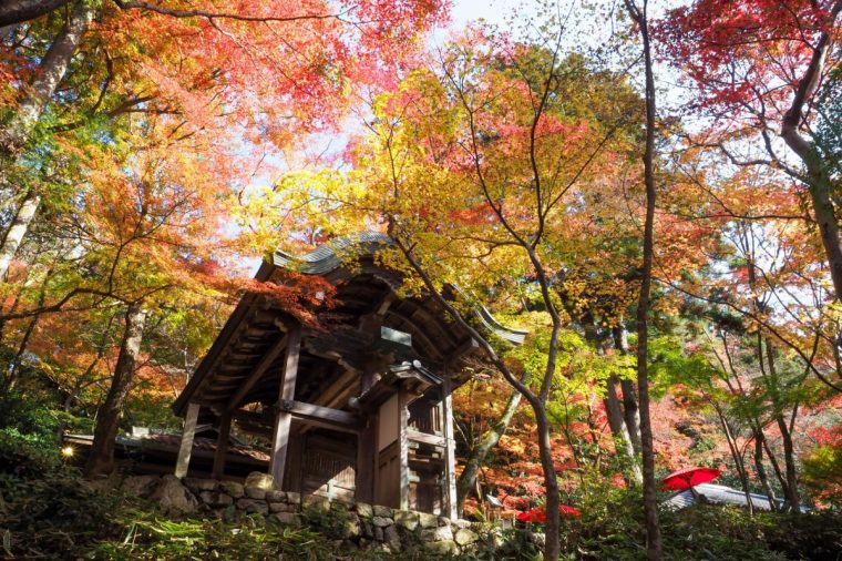 Arima Hot springs Japan Must Credit: Kobe Tourism Board