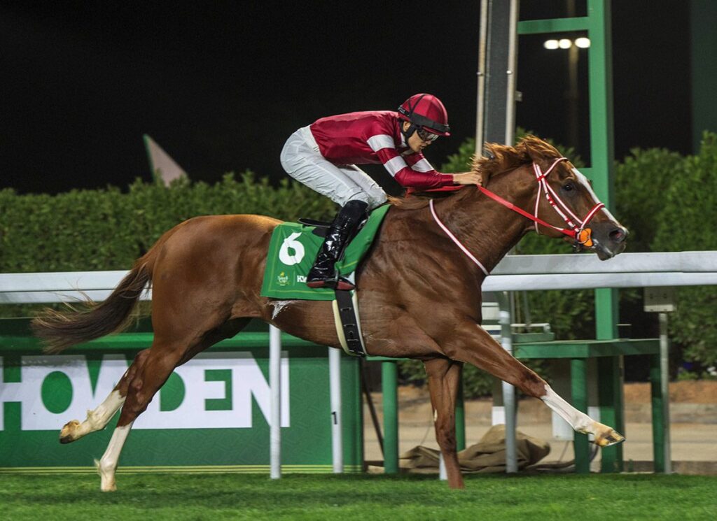 Shin Emperor Knocked Out Of The Arc With Respiratory Illness, Japan Cup New Target